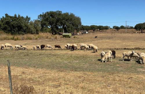 Casa Bungavilia - Roots of Alentejo - Foto 61