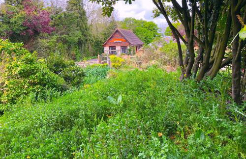 Tovey Lodge - Foto 40