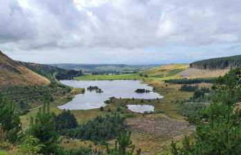 Swallow Barn - Foto 41