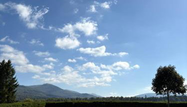Stara Jabłoń dom w Bieszczadach - Foto 2, Garden, Garden view