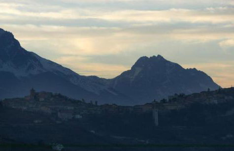 Agriturismo Cignale della Società Agricola Cignale srl - Photo 39