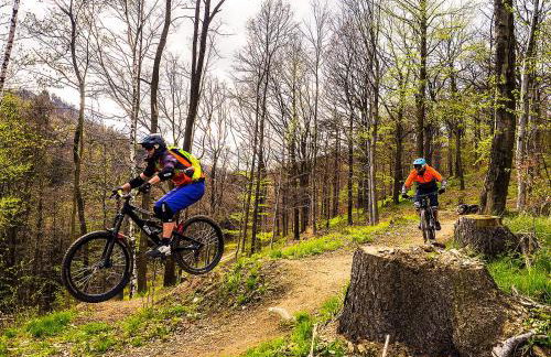 Willa Sowia nowy apartament z prywatnym tarasem i widokiem na góry - Foto 33