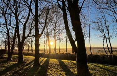 Ferienwohnung Sort Sol Grellsbülldeich 7 - Foto 42