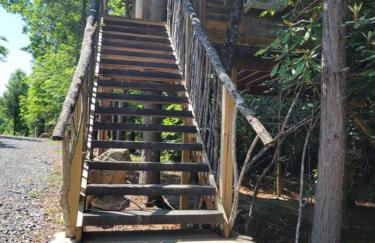 Treehouses at Lake Mountain Manor - Foto 44