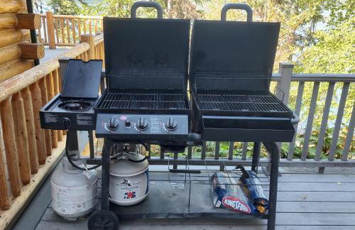 Christy's Cottage, Waterfront w/Slide & Ice Shanty - Foto 29