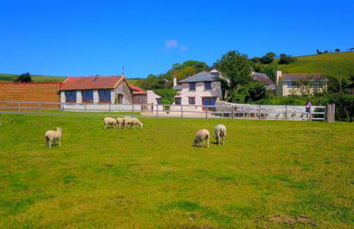 SAUNTON SUNSHINE COTTAGE 3 Bedrooms - Foto 5