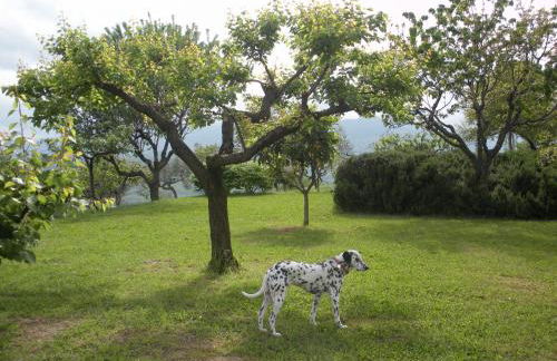 Le Stagioni - Foto 19