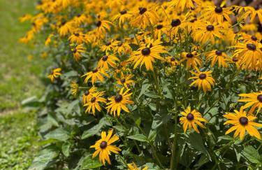 Appalachian Haven - Mountain Views - Vet Owned - Foto 43