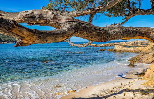 Cozy Home In Coti-Chiavari - Photo 21