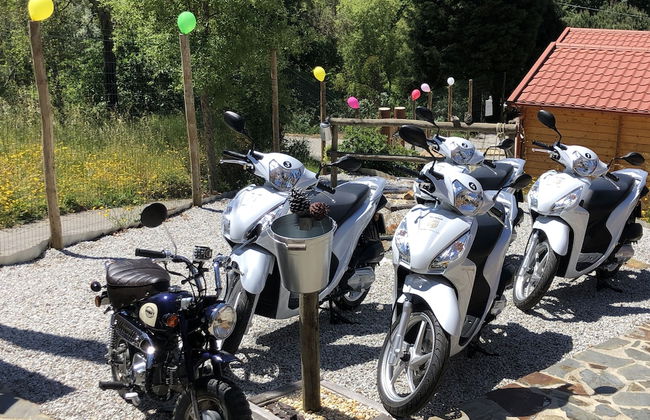 Mimosa Village - Foto 8