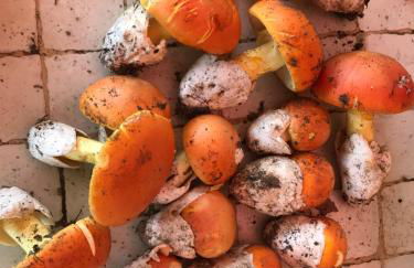 Ma. De House Lago del Turano - Foto 50