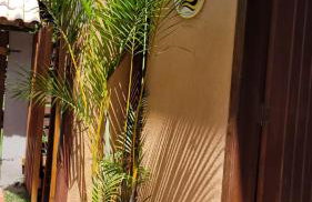 Estrada Real - Foto 43