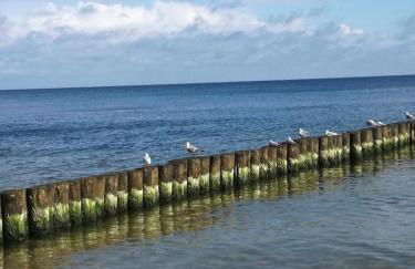 Ferienbungalow Ancora in Koserow - Foto 19