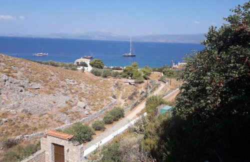 Hydra Erato - Foto 23