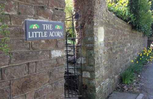 The Little Acorn - Photo 16