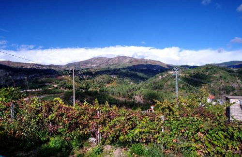 Casa Velha - Foto 56