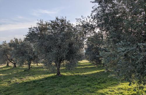 Le Relais Laviolette - Foto 23