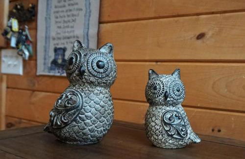 UNQUESTIONABLY the BEST VIEWS in North Georgia - Photo 24