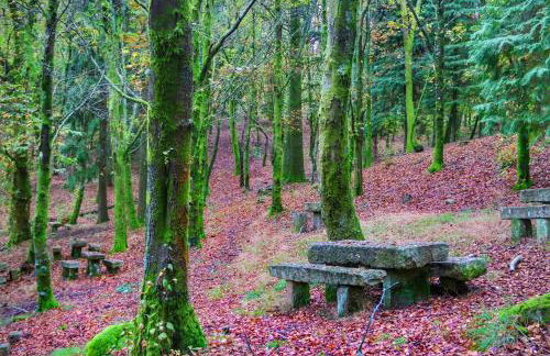 Casa Na Serra - Alagoa Blue - Foto 21