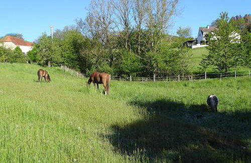 Monteurwohnung in Warstein - Foto 13