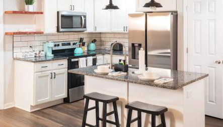 Beautiful Raleigh Home - 3BR Quiet and Family Friendly - Foto 5, stove, dishwasher, toaster