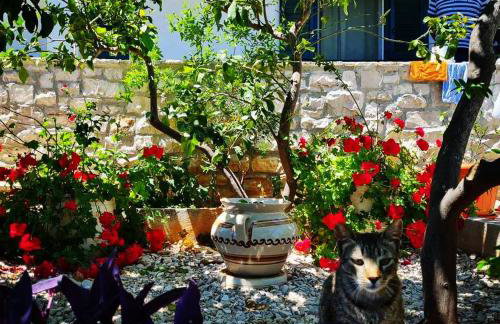 Apartmani Lada, Rogač, otok Šolta - Foto 29