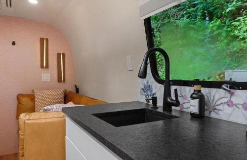 Airstream w Bathtub, River, & Hot Tub - Foto 60