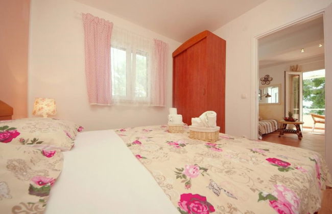 Dino - Gorgeous Garden - SA1 Zavala - Photo 3