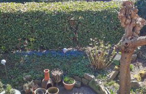 Sehr schöne, große und zentral gelegene Wohnung - Foto 3