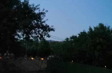 Platan Paradise - Foto 37