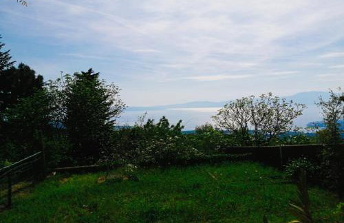 FoREST Heritage Apartment - Foto 32