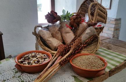 Agriturismo Tre Monti - Photo 29