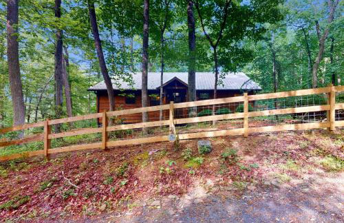 Bear Necessity Cabin - Foto 6