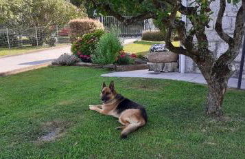 Alojamiento en CHIHUAHUA ETXEA - Foto 33