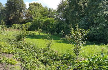 Zielone Zacisze Zwola - Foto 69