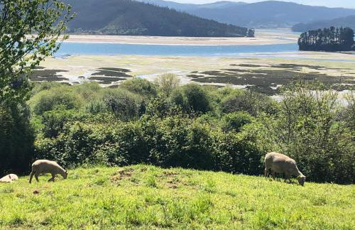 Casa da Oliveira - Foto 7