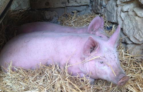 Vento Del Sud - Foto 39