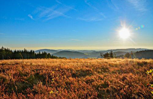 Fewo Willingenliebe Meinecardplus - Foto 24