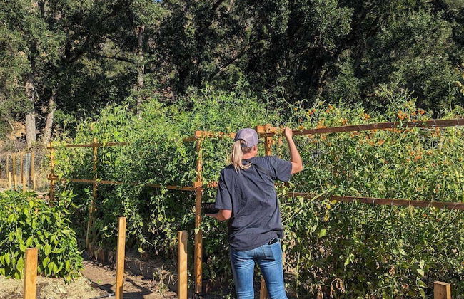 Blue Lakes Village - Foto 79