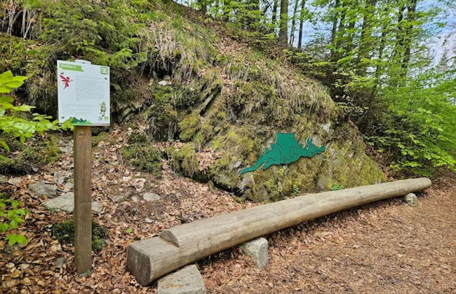 Wohnung in der Nahe der Skipiste in Zuschen - Foto 39