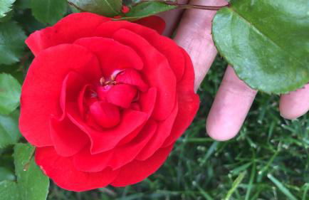 Agriturismo Giorgini - Foto 17