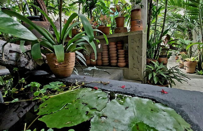 Residencial Casa Flor Atelier Botânico, Ponta Negra - Foto 3