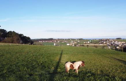 El Pueblín del Pinar - Foto 11