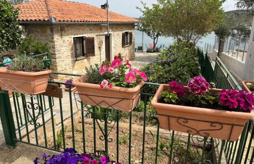 Little Bit Of Heaven - Photo 1