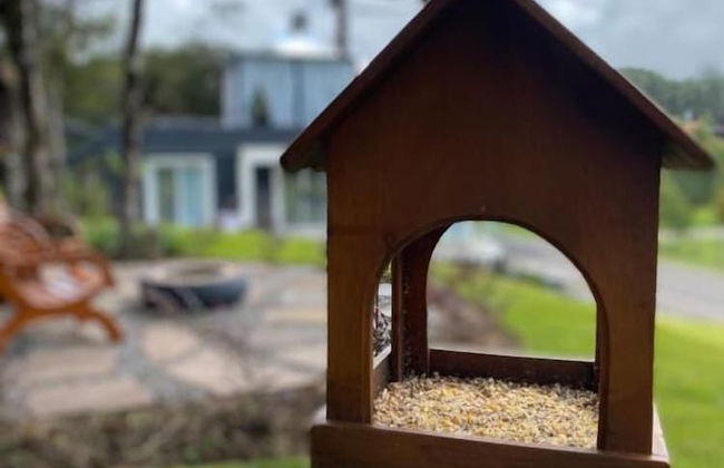 Studios Heaven - Foto 39