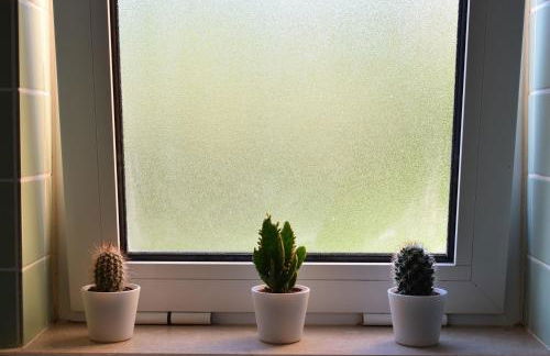 casa pipoca - Foto 24