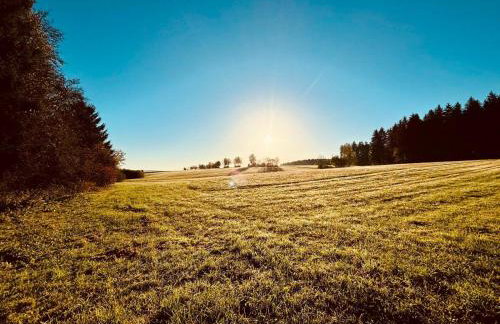 Schorsch's Ferienhaus - Foto 3