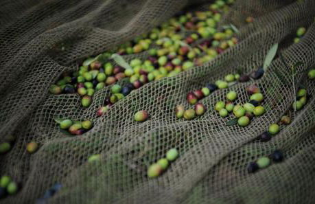 Agriturismo Le Fornase - Foto 42