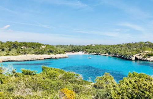 Apartaments Marina Sol i Pins - Foto 51