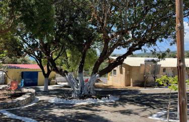 Village Holidays - Chelonaria - Foto 26